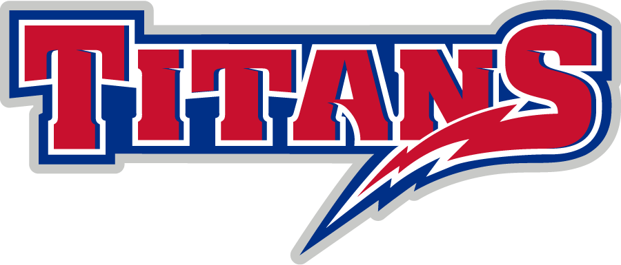 Detroit Mercy Titans 2008-2015 Wordmark Logo v2 diy iron on heat transfer